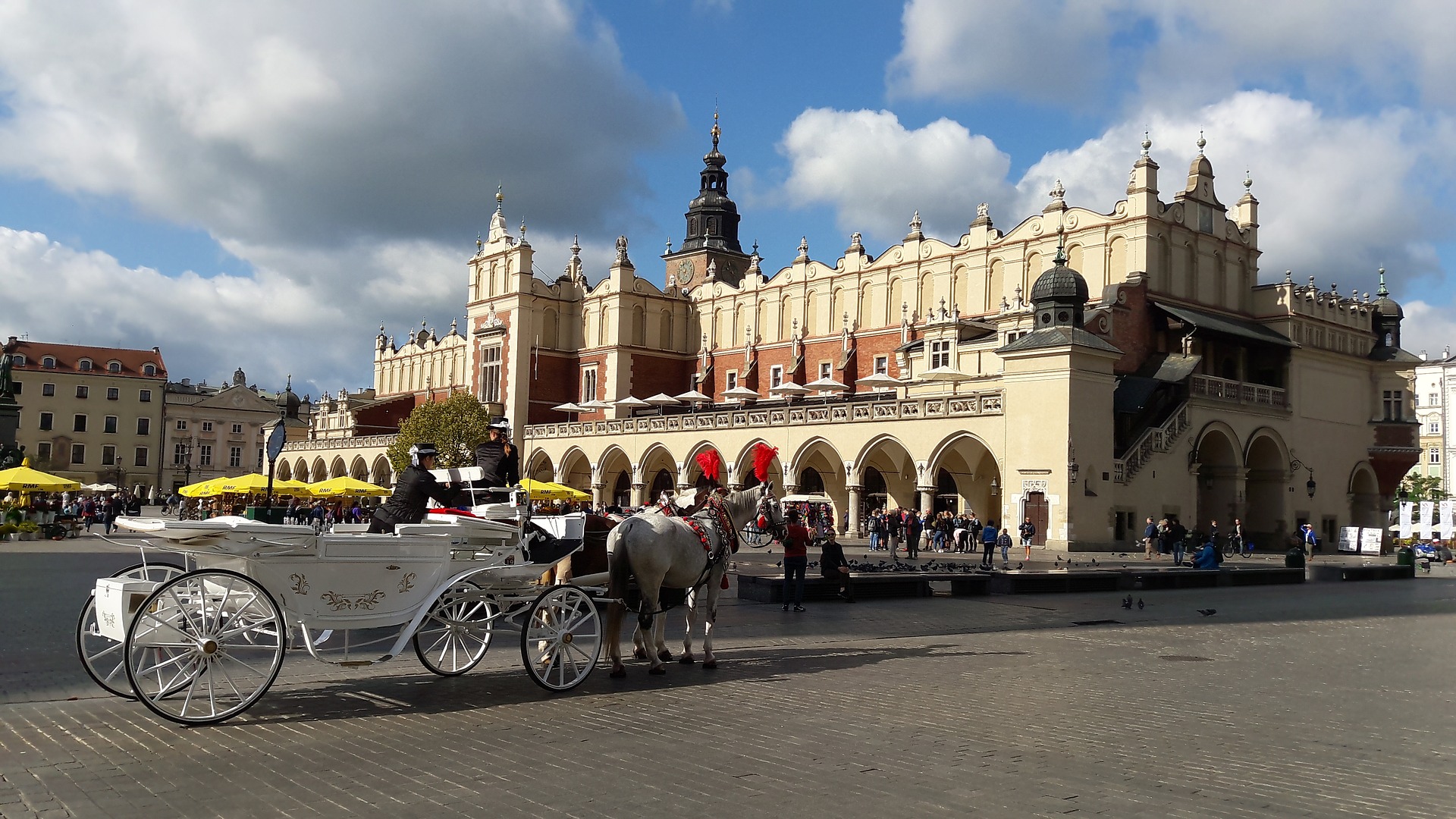 Plexi - Kraków